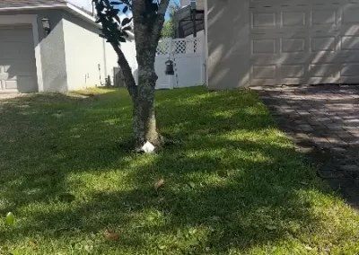 Affordable Yard Waste Removal